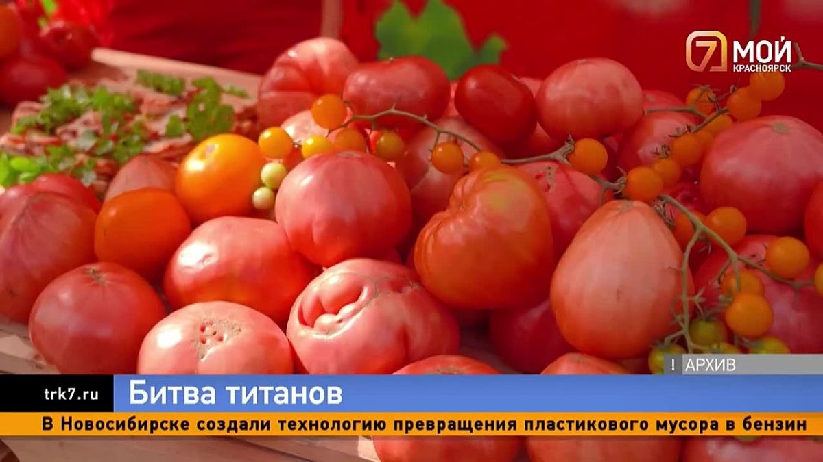 От катеров и автогонок до кинопремьер и мастер-класса