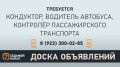 «7 канал Красноярск»: На сайте | ВКонтакте | Дзен | Одноклассники