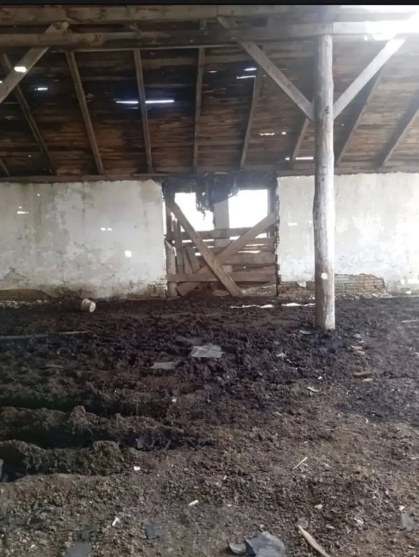 Не ко двору: к 300 часам обязательных работ суд приговорил жителя Большемуртинско-Сухобузимского округа за кражу прибившегося к его участку коня Не ко двору: к 300 часам обязательных работ суд приговорил жителя Большемуртинско-Сухобузимского округа за кражу прибившегося к его участку коня