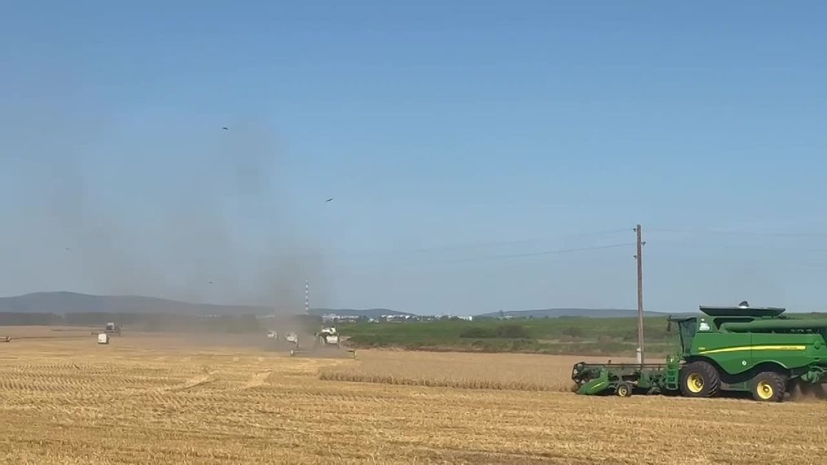 В Шарыповском округе началась уборочная кампания