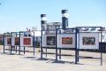 «Галерея под открытым небом»: работы Андрея Поздеева на набережной