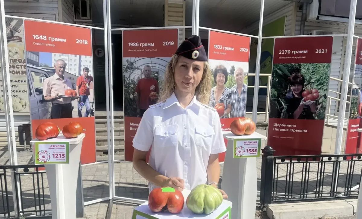 Полицейские обеспечили охрану общественного порядка в День минусинского помидора Полицейские обеспечили охрану общественного порядка в День минусинского помидора