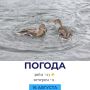 ������ �������. @gornovosti ����������� � �� | ����������� � ���