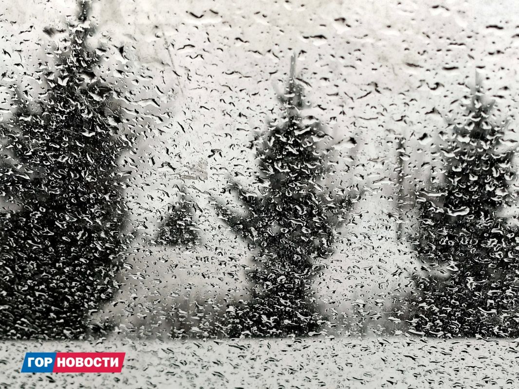 Рабочая неделя в Красноярске будет пасмурной и дождливой
