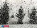 Рабочая неделя в Красноярске будет пасмурной и дождливой