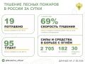 За прошедшие сутки в 12 регионах России потушили 19 лесных пожаров