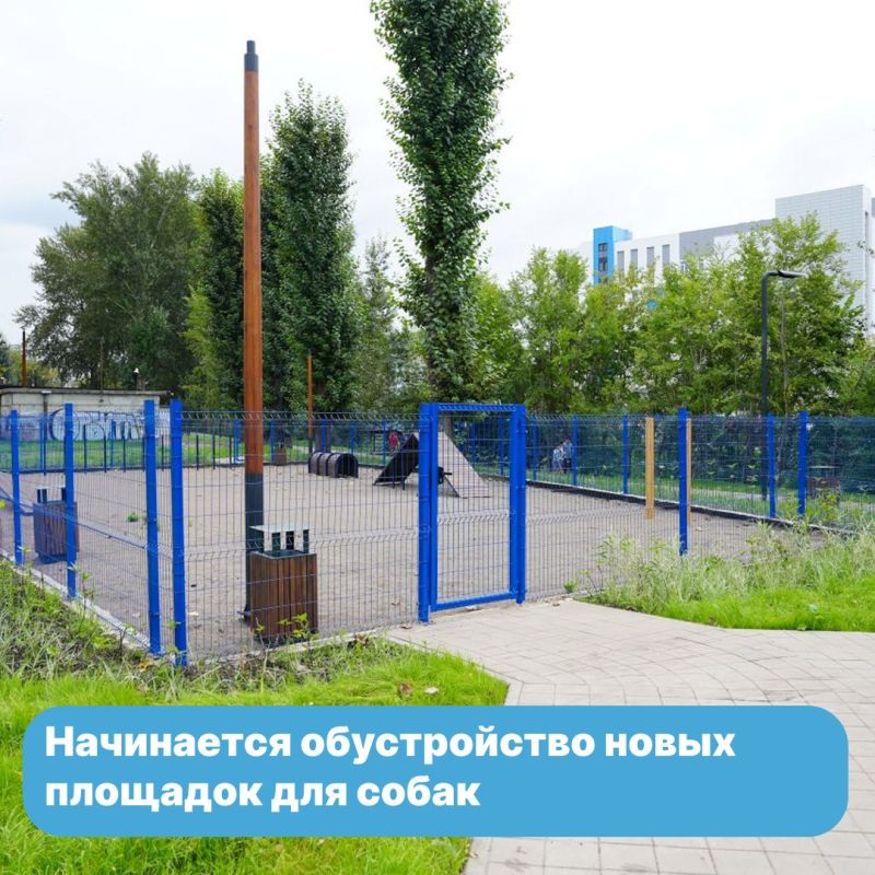 Новые площадки для прогулок и игр с собаками появятся в Советском районе