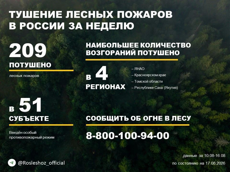 По данным Авиалесоохраны, подведомственной организации Рослесхоза, за прошедшую неделю потушено 209 лесных пожаров в 31 регионе России