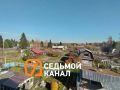 Возле Красноярска медведя, вышедшего к дачным обществам в районе станций Снежница и Рябинино, застрелили сотрудники охотнадзора