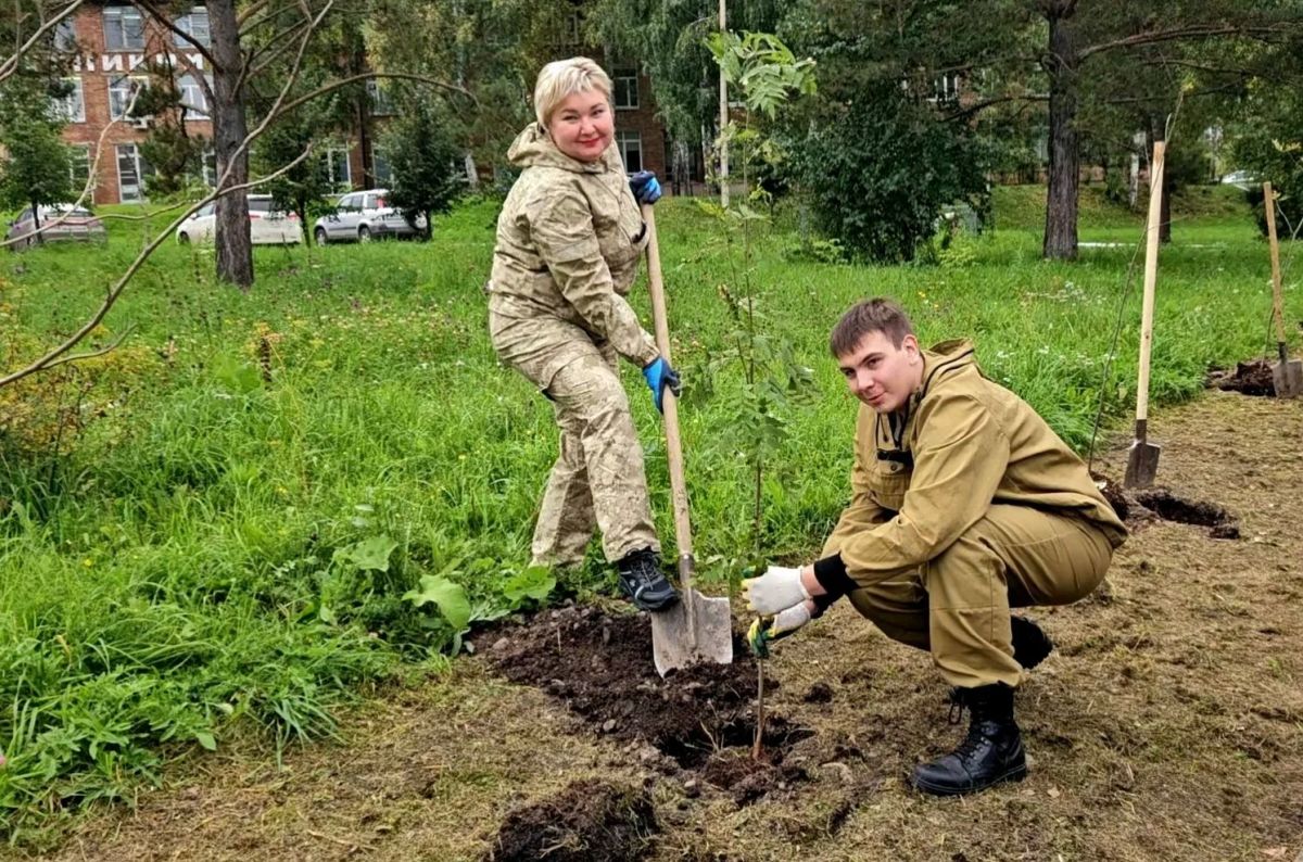 Более 100 тысяч деревьев высадят жители Красноярского края в рамках акции "Сохраним лес" Более 100 тысяч деревьев высадят жители Красноярского края в рамках акции "Сохраним лес"