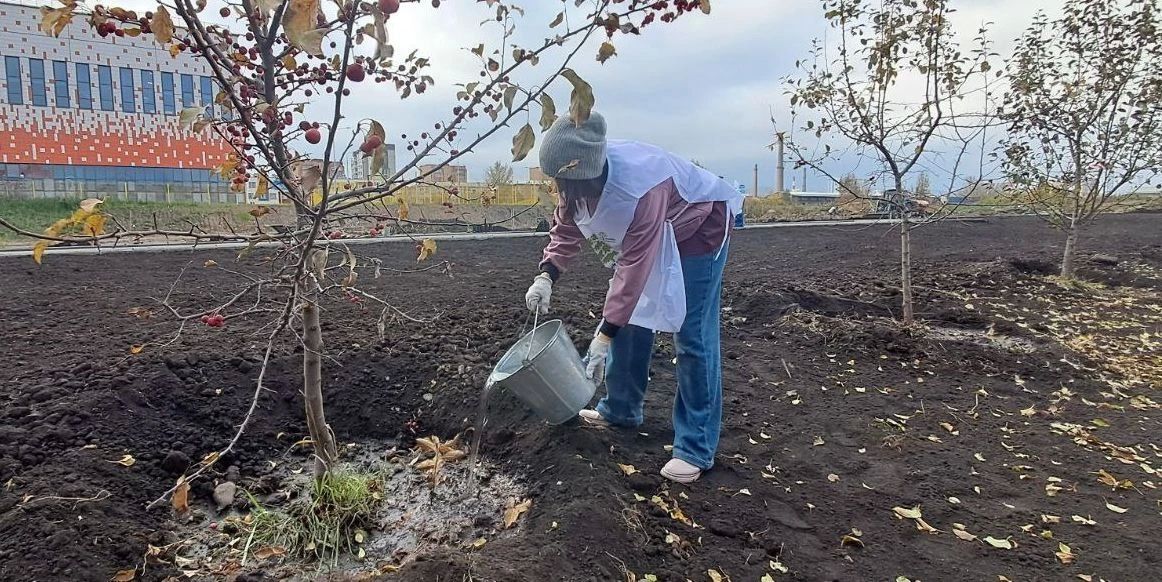 Более 100 тысяч деревьев высадят жители Красноярского края в рамках акции "Сохраним лес" Более 100 тысяч деревьев высадят жители Красноярского края в рамках акции "Сохраним лес"