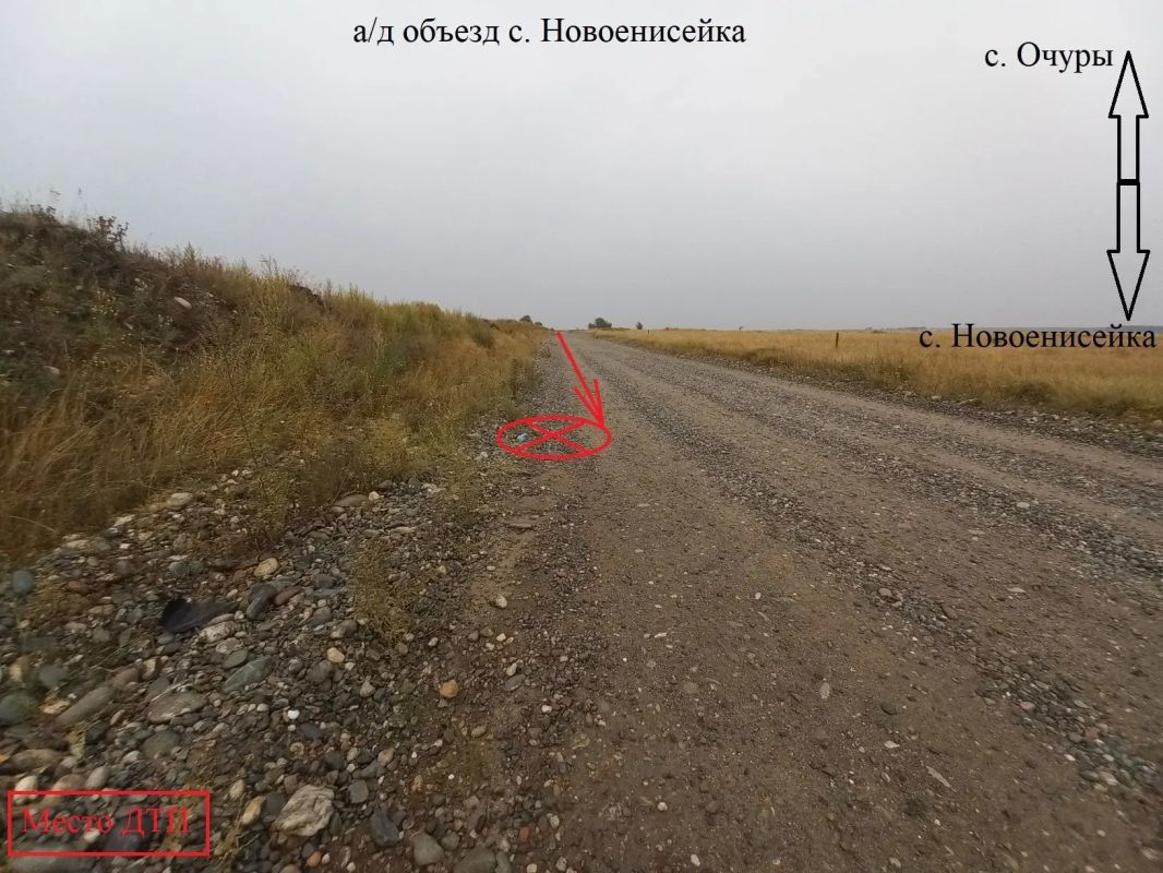 В Хакасии пассажирка выпрыгнула на ходу из автомобиля