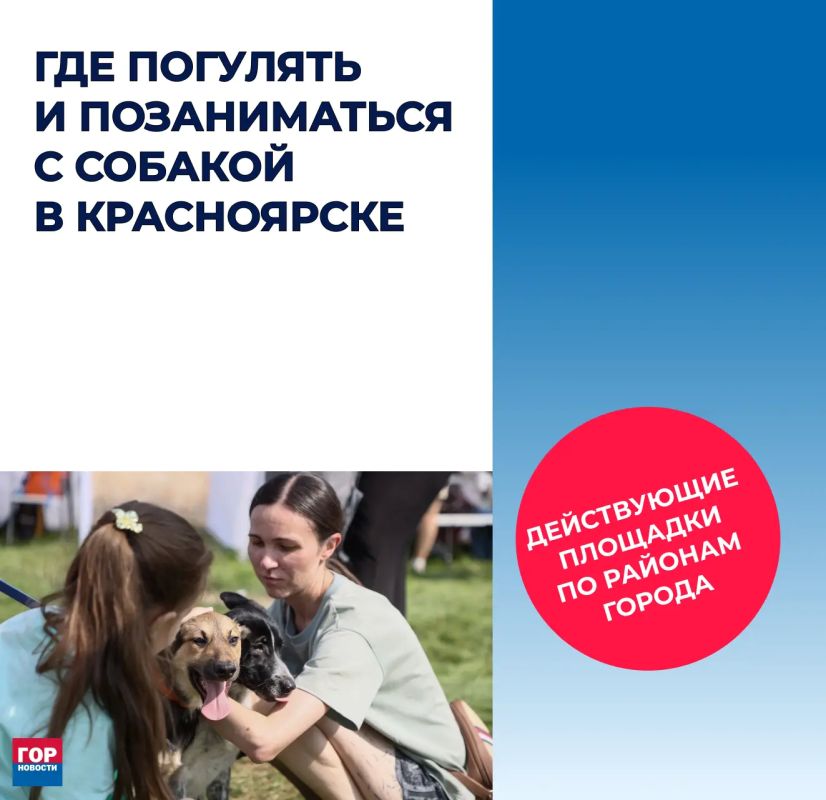 В Советском районе появятся ещё четыре площадки для прогулок и игр с собаками