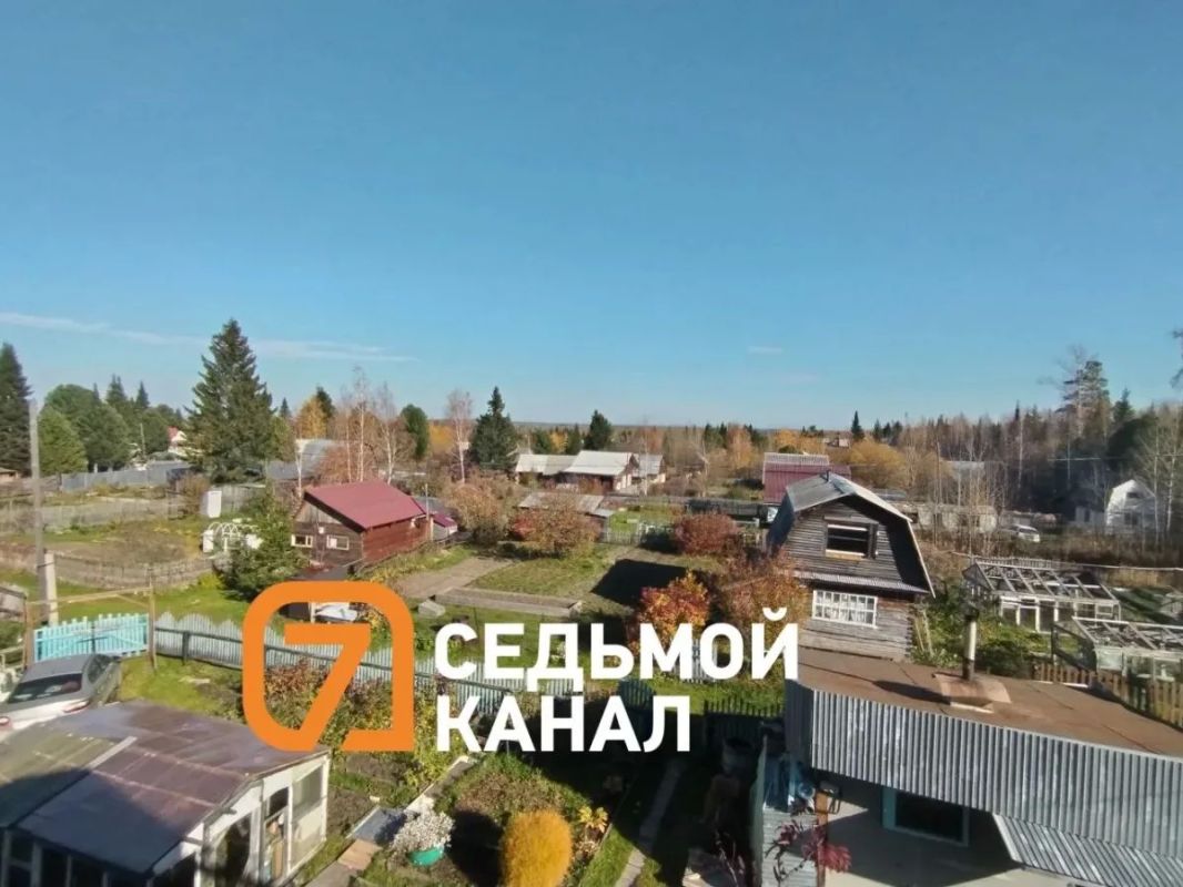 Возле Красноярска медведя, вышедшего к дачным обществам в районе станций Снежница и Рябинино, застрелили сотрудники охотнадзора