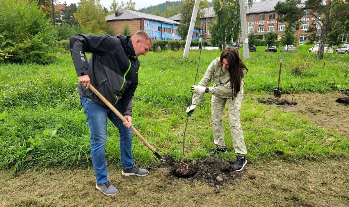 Более 100 тысяч деревьев высадят жители Красноярского края в рамках акции "Сохраним лес"