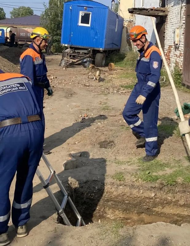В Енисейске спасатели вытащили собаку из глубокого колодца В Енисейске спасатели вытащили собаку из глубокого колодца