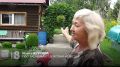 МЕДВЕЖЬЯ ЗАСЛУГА: ХИЩНИКИ ДЕРЖАТ В СТРАХЕ ПРИГОРОДНЫЕ СНТ И ВЫХОДЯТ НА УЛИЦЫ КРАСНОЯРСКА