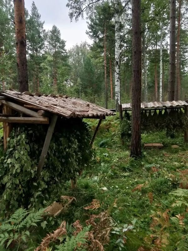 Чтобы лесные обитатели чувствовали себя хорошо, о них нужно позаботиться заранее
