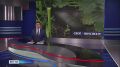 � ���� ������ ���������� �������� ������������ �������