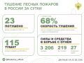 За прошедшие сутки в 10 регионах России потушили 23 лесных пожара