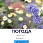 ������ �������. @gornovosti ����������� � �� | ����������� � ���