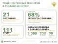 За прошедшие сутки в 10 регионах России потушили 21 лесной пожар