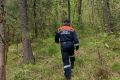 В Красноярском крае спасатели ищут очередного пропавшего грибника