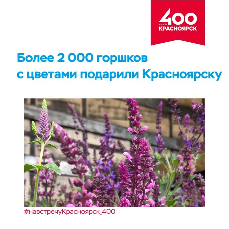 2 364 горшка с рассадой многолетних растений подарили Красноярску