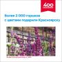 2 364 горшка с рассадой многолетних растений подарили Красноярску