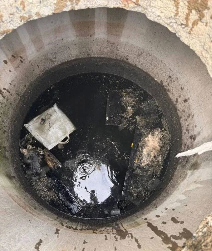 В Лесосибирске спасатели вытащили из бетонного коллектора маленького щенка, который провёл в холодной воде двое суток В Лесосибирске спасатели вытащили из бетонного коллектора маленького щенка, который провёл в холодной воде двое суток