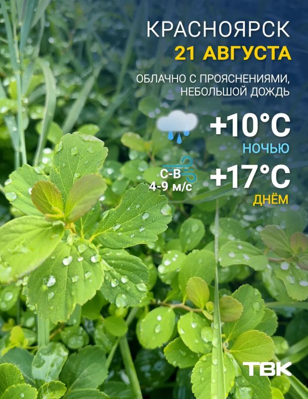 Погода на сегодня