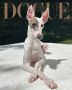 ����� �������� ������ �� ������ Vogue