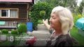 МЕДВЕЖЬЯ ЗАСЛУГА: ХИЩНИКИ ДЕРЖАТ В СТРАХЕ ПРИГОРОДНЫЕ СНТ И ВЫХОДЯТ НА УЛИЦЫ КРАСНОЯРСКА