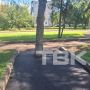 ������� �������� � ������ ��������