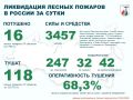 За прошедшие сутки в России потушено 16 лесных пожаров в 10 регионах