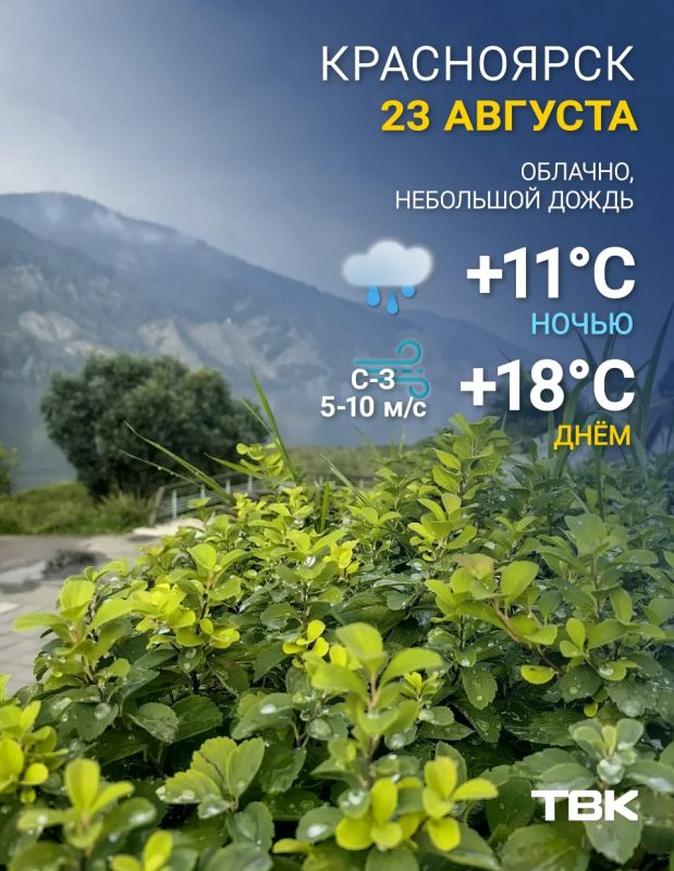 Погода на 23 августа