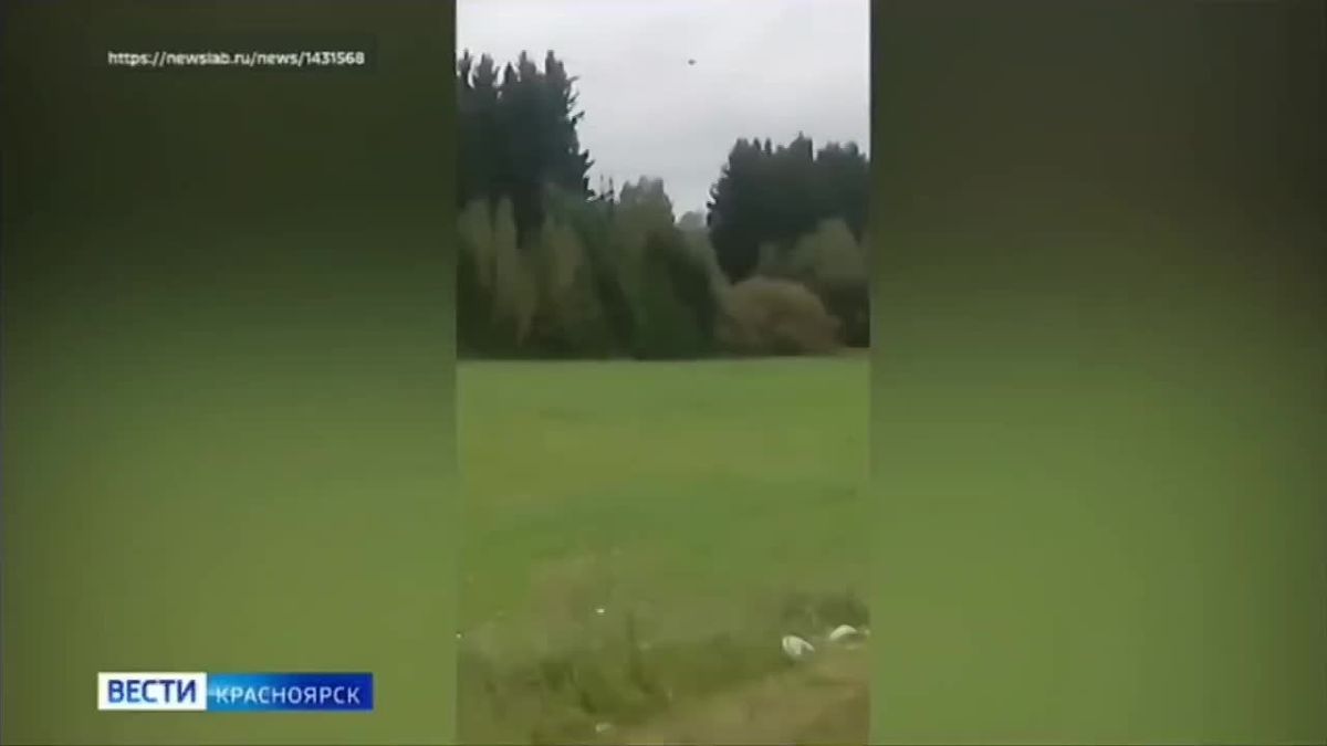 В Красноярском крае медведи снова вышли к людям