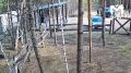 Красноярка обвиняет знакомых в попытке натравить на неё медведя