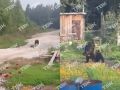 � ����������� ������ ������� ������ �������� ������ � ���: ������ �������� � ��������� ��������