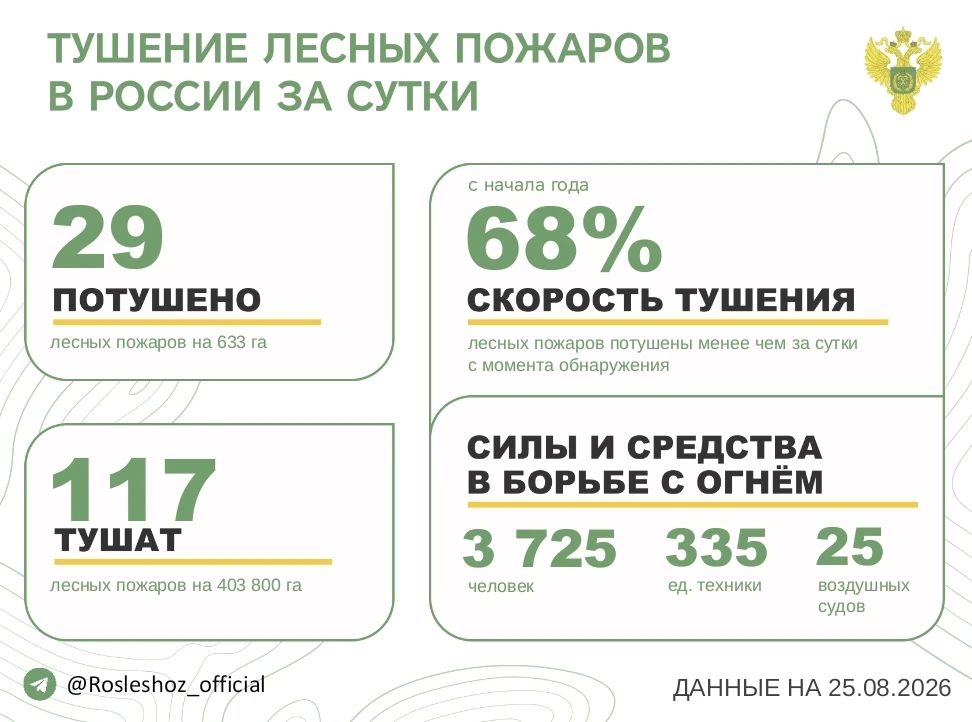 За прошедшие сутки в 13 регионах России потушили 29 лесных пожаров