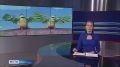 В большой прокат выходит анимационный фильм "Лунтик
