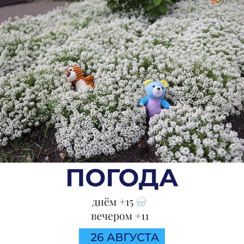 Погода сегодня. @gornovosti «Горновости» в ВК | «Горновости» в МАХ