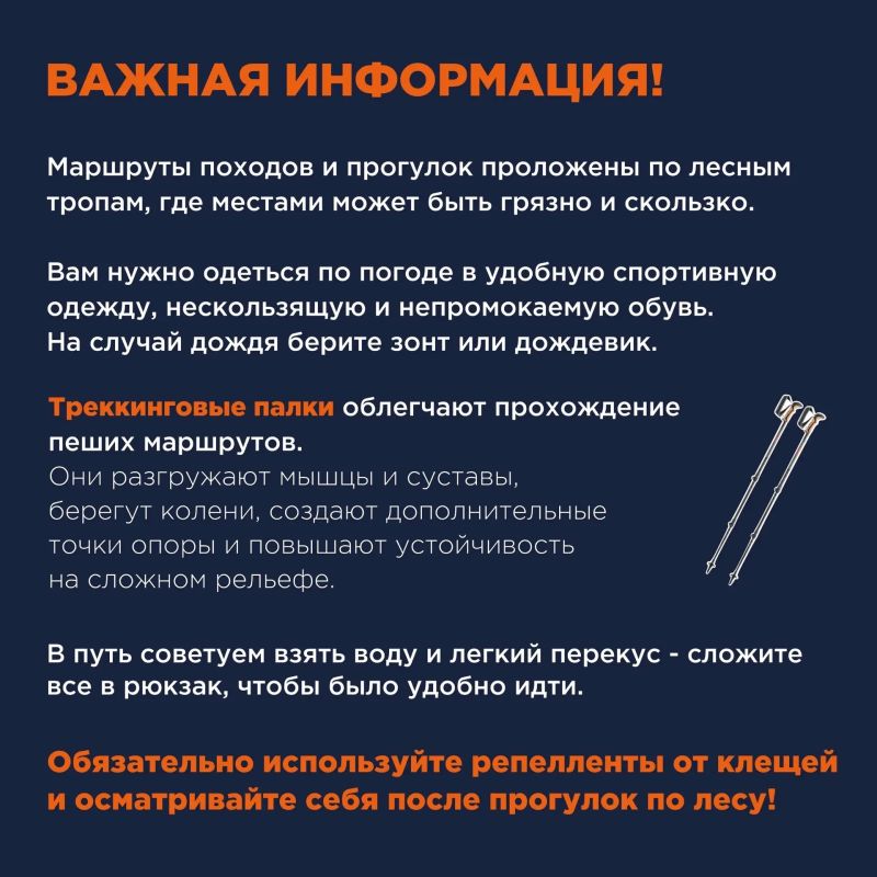 Сибирское долголетие — это пойти в поход от Юдинской долины до пятой видовки «Гремячей гривы» Сибирское долголетие — это пойти в поход от Юдинской долины до пятой видовки «Гремячей гривы»