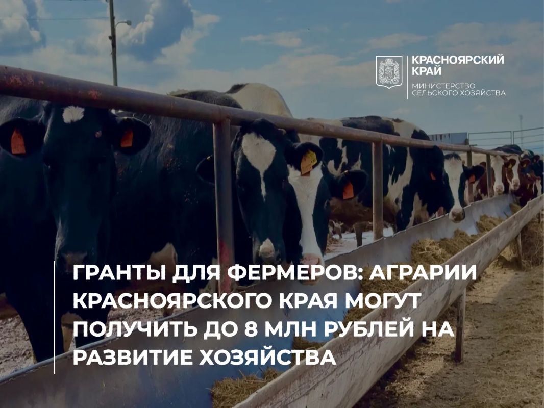 Гранты для фермеров: аграрии Красноярского края могут получить до 8 млн рублей на развитие хозяйства