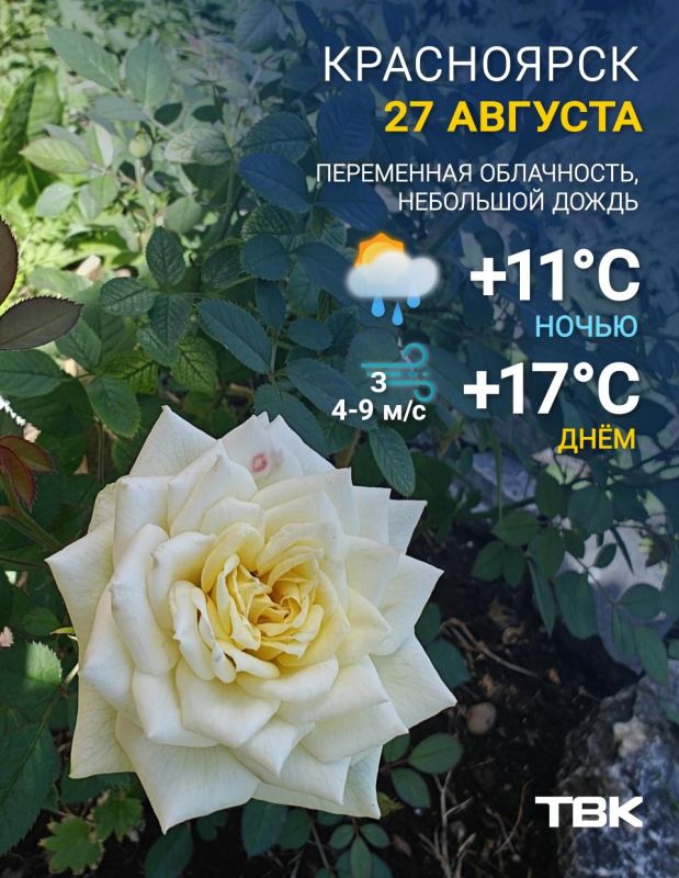 Погода на 27 августа. ТВК в MAX | Telegram | ВК | Буст