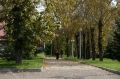 Вырубать? Ученый Кириенко раскрыла, опасны ли выбросы от тополя