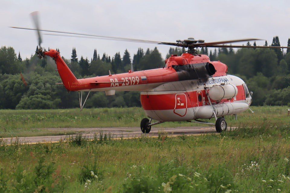 Площадь лесных пожаров в Красноярском крае уменьшилась до 515,7 тысячи га
