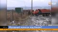 Против мусорного технопарка у своих домов выступают жители СНТ «Янтарь» в Советском районе