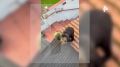 ������� ������������ �������� ����� � ������������ ���� � � ����������� ����� ����� ��. ��������� ����� �����������, �� ������������ ������� �� �������� ������� �������. ���, ������ ������� � ������ ������������� ��������...