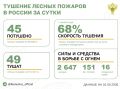 За прошедшие сутки в 13 регионах России потушили 45 лесных пожаров
